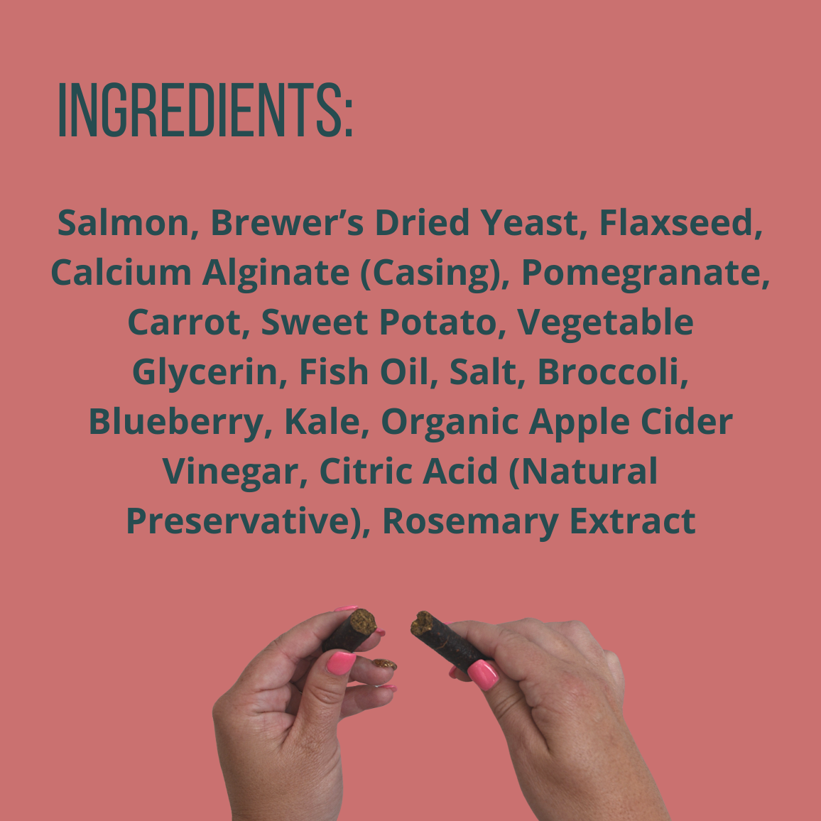 Salmon + Pomegranate & Sweet Potato Single Jerky Sticks (16 Pack)